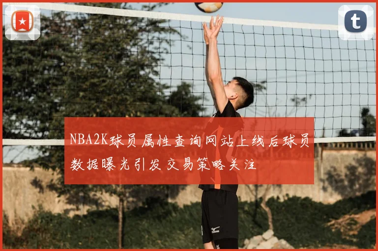 NBA2K球员属性查询网站上线后球员数据曝光引发交易策略关注